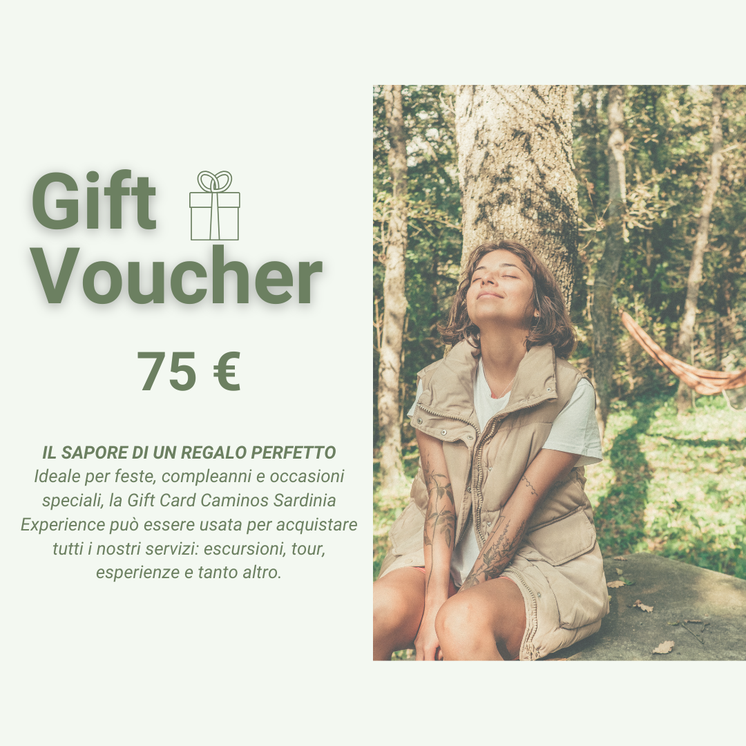 Voucher 75
