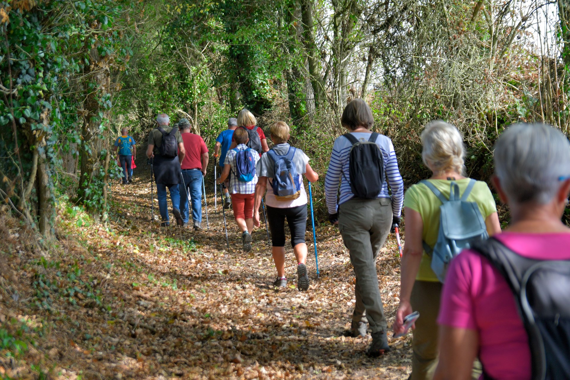 Passeggiata in Natura