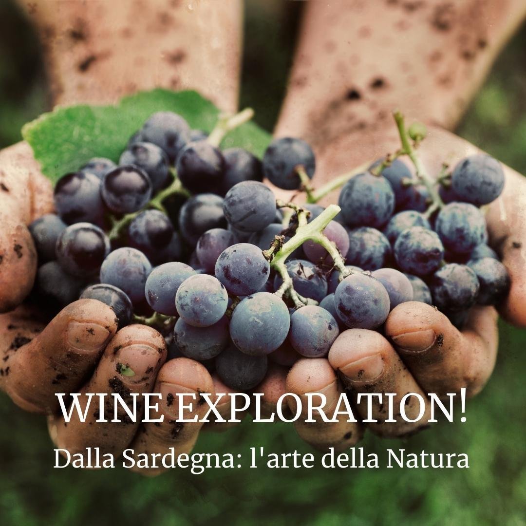 WINE EXPLORATION
