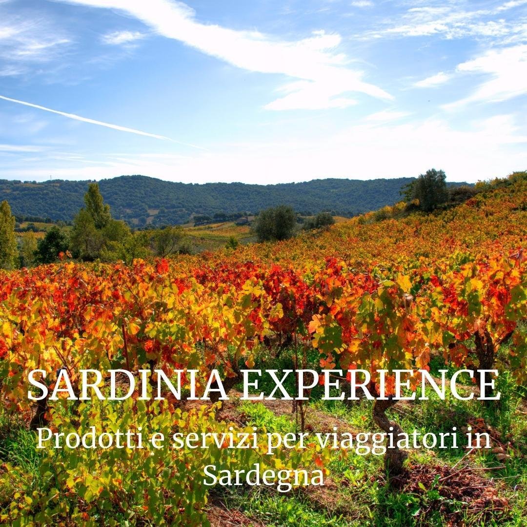 SARDINIA EXPERIENCE