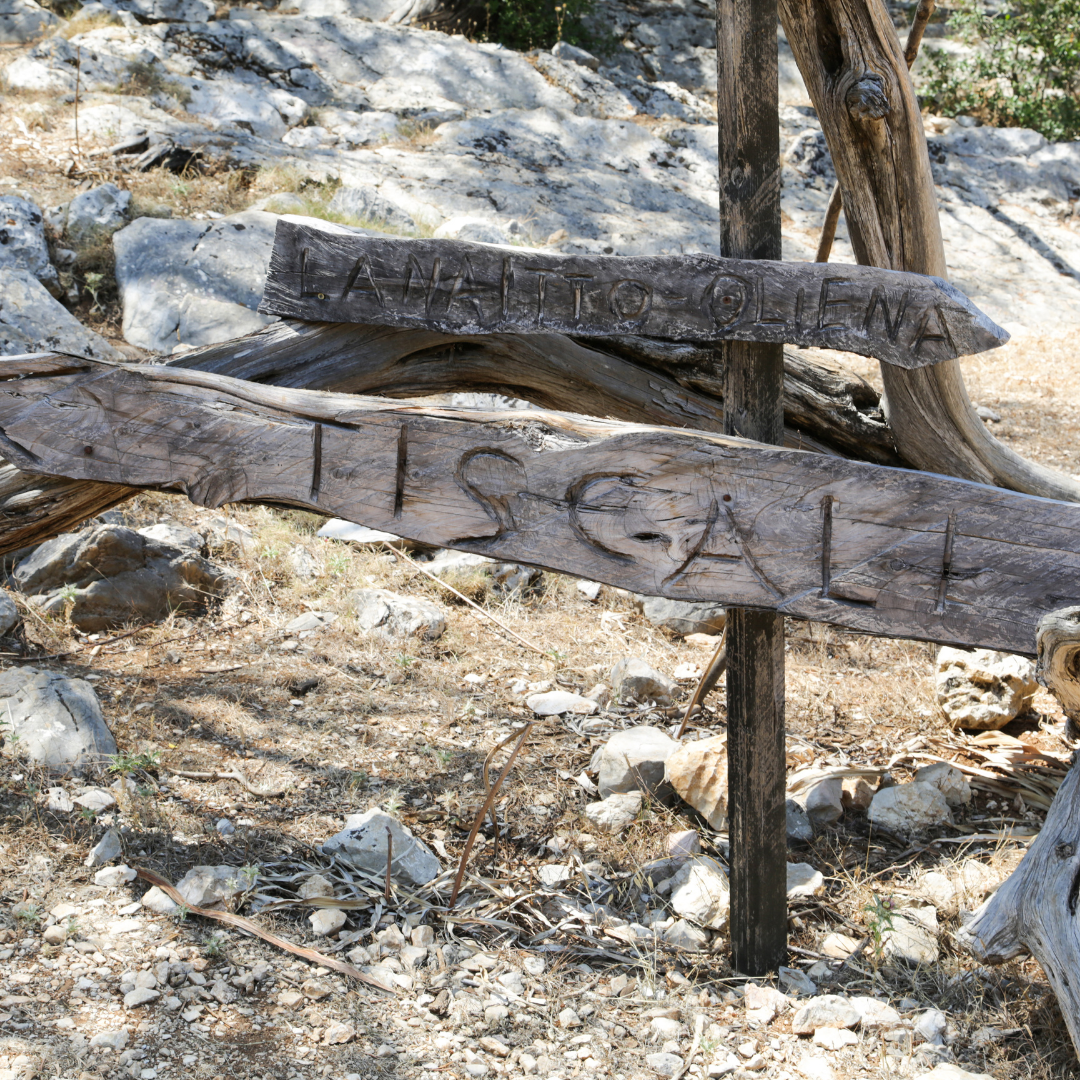 Tiscali